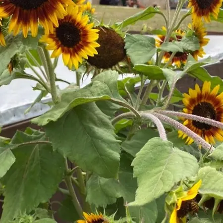 La Bergerie Luxury And Pool On Eco-friendly Micro-farm