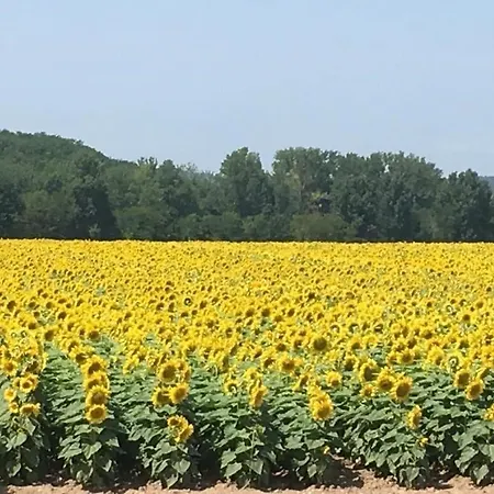 Дом отдыха La Bergerie Luxury And Pool On Eco-friendly Micro-farm Duravel