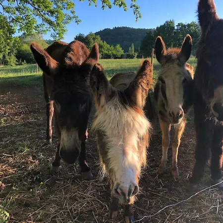La Bergerie Luxury And Pool On Eco-friendly Micro-farm