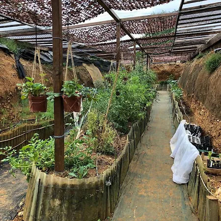 La Bergerie Luxury And Pool On Eco-friendly Micro-farm Hébergement de vacances Duravel